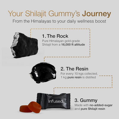 6-Month Supply | Infused® Pure Shilajit Gummies